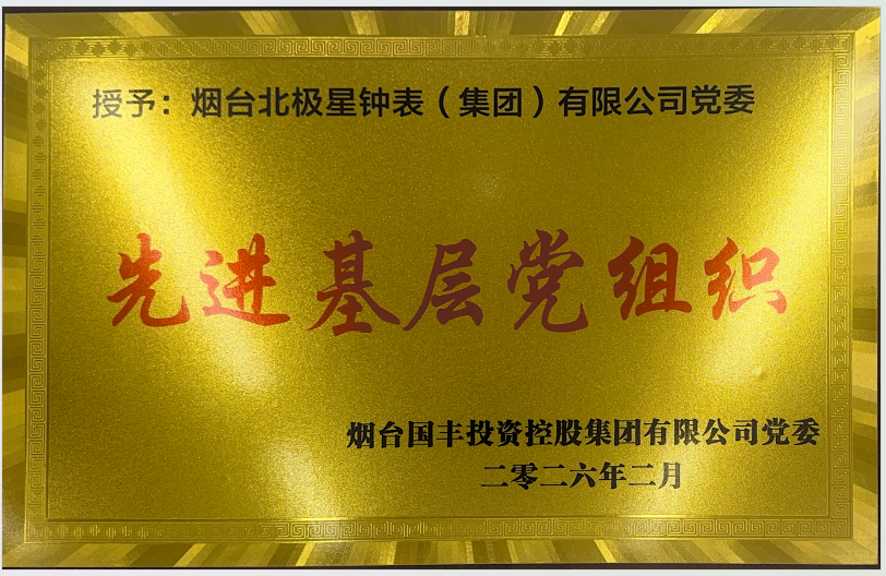 北极星党委获评国丰集团“2025年度 先进基层党组织”